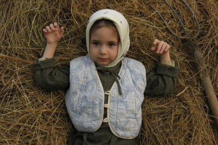 Описание изображения